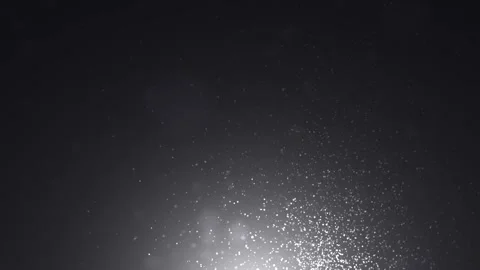 Looping-particles-at-camera. Cinematic Dust Particles Stock Footage 231543351