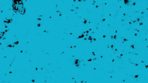 Looping random black speckle stop motion animation, Porous noise texture on.. Stock Footage 330551320