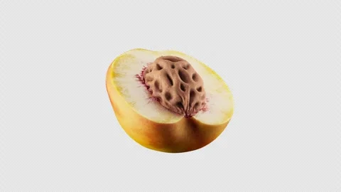 Looping rotation of half a peach with a pit. Alpha Channel. Stock Footage 285161023