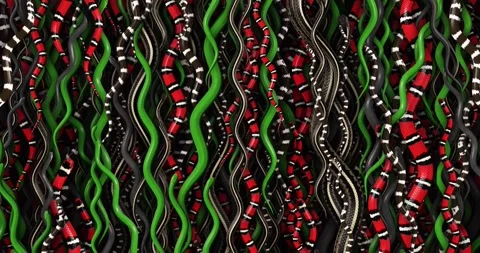 Looping snake animation. 3D render. Stock Footage 297210060