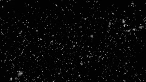 Looping Snow blizzard.Close up.Biger Snowflakes.Snow is falling down.Animation Stock Footage 165892839