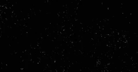 Looping Snow - Flurry 1, black background Stock Footage 65313416