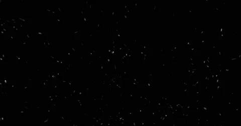 Looping Snow - Flurry 2, black background Stock Footage 65313445