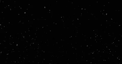 Looping Snow - Flurry 7, black background Stock Footage 65313503