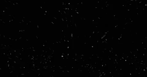 Looping Snow - Windy 1, black background Stock Footage 65313608