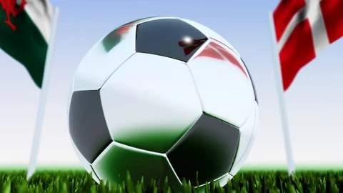 Looping Soccer Ball Denmark vs. Wales Stock Footage 124492473