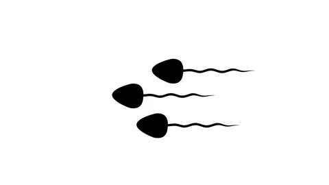 Looping sperm cell animation on white background. Perfect for reproductive .. Video stock 313420973