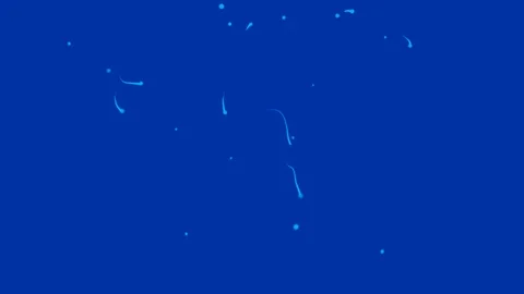 Looping sperm cell bacteria virus moving background 스톡 동영상 120545135