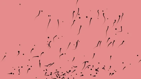 Looping sperm cell bacteria virus moving background Stock Footage 120545215