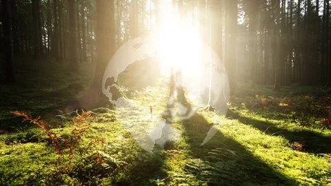 Looping sunny green forest light with earth globe rotation Stock-Footage 334816960