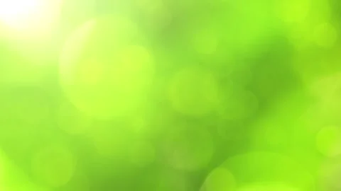 Looping sunny green nature bokeh copy space background Stock Footage 337192573