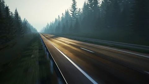 "Looping travel through empty forest road. Scebuc sunset or sunrise in woods." Stock Footage 97896468
