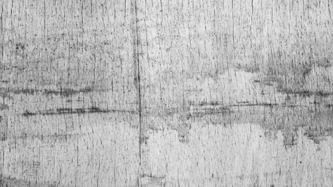 Looping  tree texture light grunge overlay low framerate  stop motion style Stock Footage 264508571