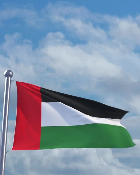 Looping United Arab Emirates flag on flagpole Video stock 290881101