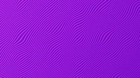 Looping Vibrant Purple and Violet Wavy Lines Video stock 345815775