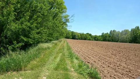 Looping video of a grassy path between recently planted field and timbers Stock Footage 278437400
