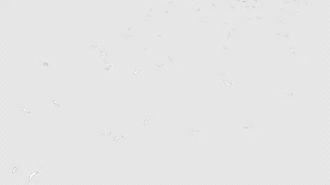 A looping video with a transparent background showing a white feather fluttering Stock Footage 344776790