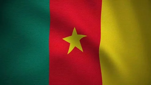 Looping video of waving flag of cameroon Stock Footage 129093391