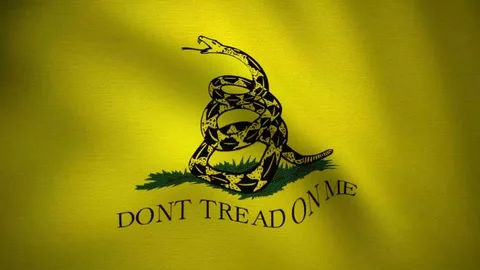 Looping video of waving flag of gadsden Stock Footage 129093045