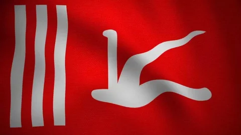 Looping video of waving flag of jammu and kashmir Stock Footage 129092751