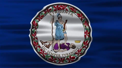 The Looping of Virginia waving flag. Stock Footage 312485397