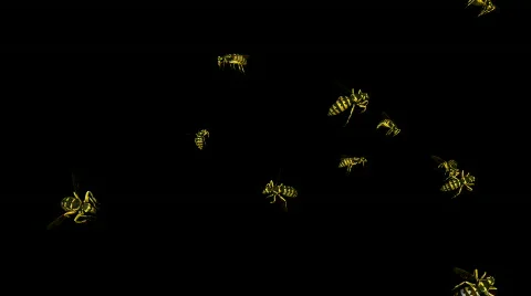 Looping Wasp Swarm Animation 1 Stock Footage 670710