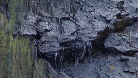 Looping water flow over dark mossy rocks with green algae seamless nature backgr Stock-Footage 333726160