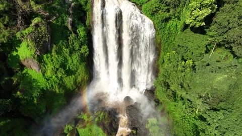 Looping Waterfall in Green Forest Video stock 272910320
