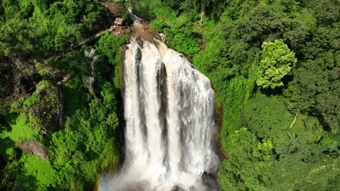 Looping Waterfall in Green Forest Video stock 272910322