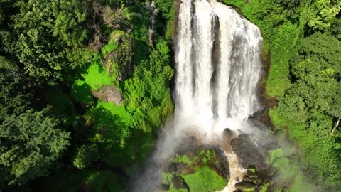 Looping Waterfall in Green Forest Video stock 272910383