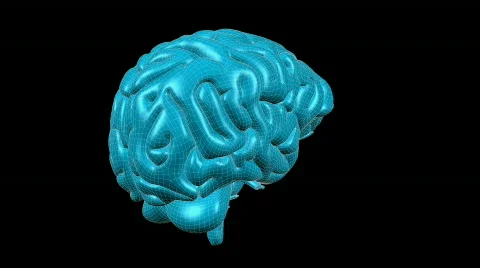 Looping Wireframe Brain Animation 07 Stock Footage 837530