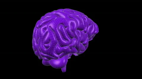 Looping Wireframe Brain Animation 16 Stock Footage 838537