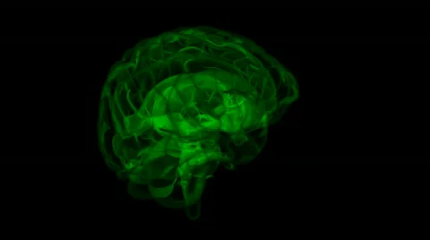 Looping Xray Brain Animation 10 Video stock 838560