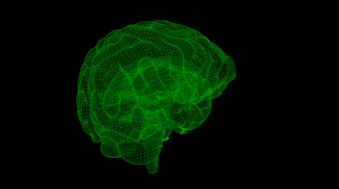 Looping Xray Wireframe Brain Animation 18 Stock Footage 844765