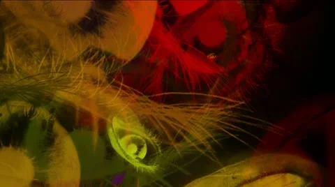 LoopNeo VJ Loops HD 1920X1080 - Eyes 003 库存影片 22151052