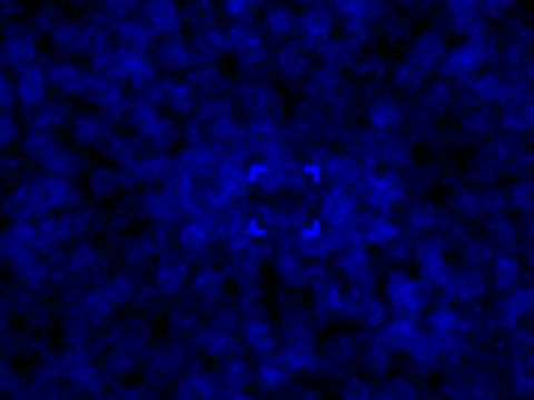 LoopNeo VJ Loops SD 640X480 - Textures - Interfront 000 库存影片 22170065