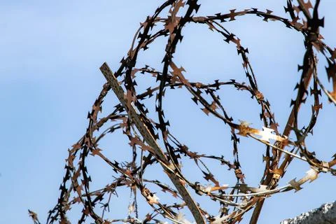 Loops of rusty barbed wire on top of a concrete fence against a blue sky, sho Foto stock