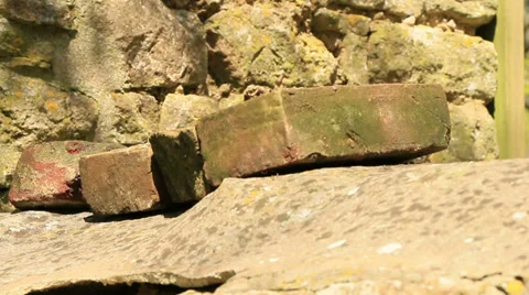 Loose bricks on an old wall Stock Footage 37631057