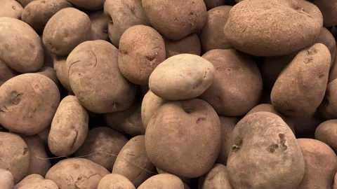 Loose Brown Potatoes Piled in Bulk Produce Bin Stock Footage 337911180