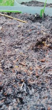 Loose soil Foto stock