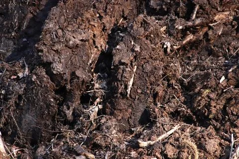 Loose soil texture. Dirt backdrop. Ground background. Stock Photos