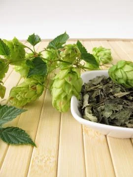 Loose tea with hops Stock-Fotos