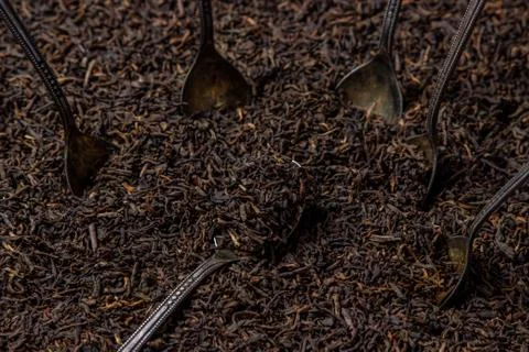 Loose tea. Leaf tea. Stock Photos