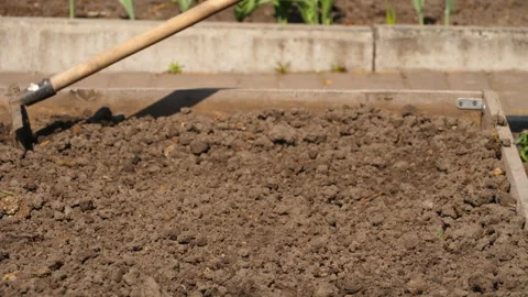Loosen dry soil with a rake Stock Footage 158587868