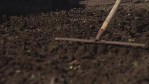 Loosen the soil 스톡 동영상 141766668