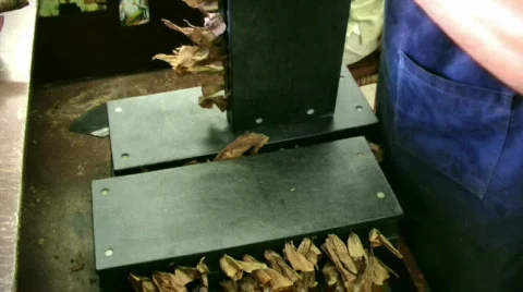 Loosening from Mold Видео 146238