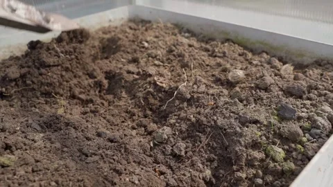 Loosening soil in a garden bed inside a greenhouse close-up in slow motion Vídeos de archivo 342812007