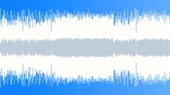 Loosy Groovy Stock Music