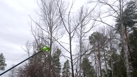 A lopper or pruner on a long stick, cuts off tree branches at a height. Vídeo Stock 153577552