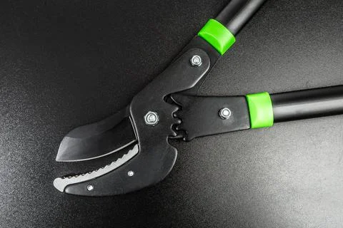 Lopper for pruning branches on trees gardening tools on black background . Stock Photos